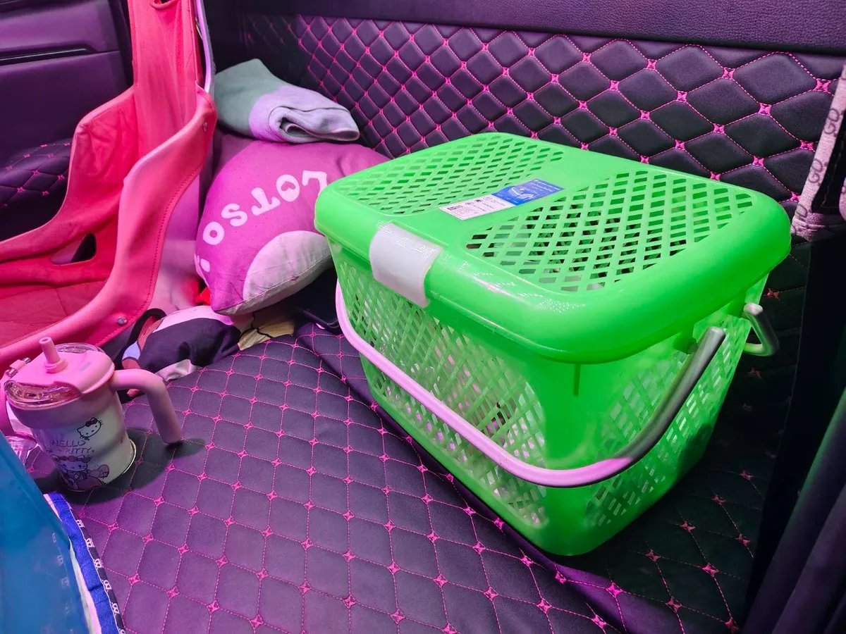 Pet carrier basket riding in the car