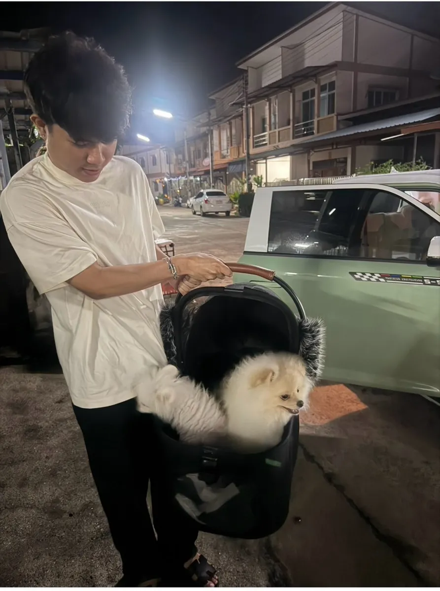 Pomeranian in a pet carrier handed to its owner