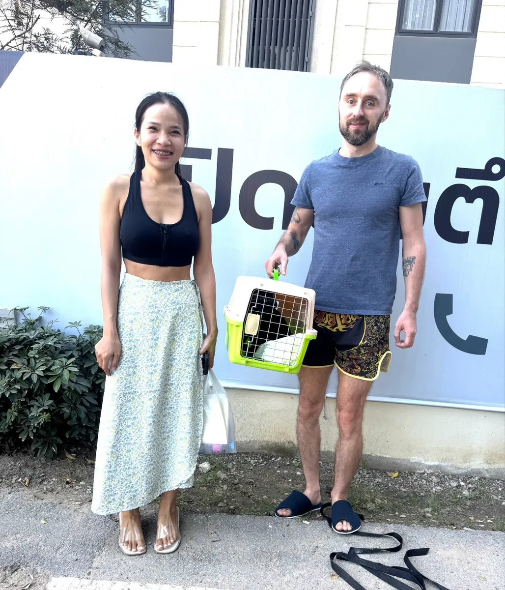 Pet in its carrier handed over to the owners